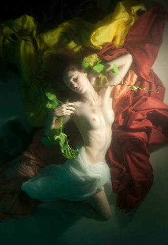Rogers Drowning In Her Sea, 2011, Christy Lee Rogers
